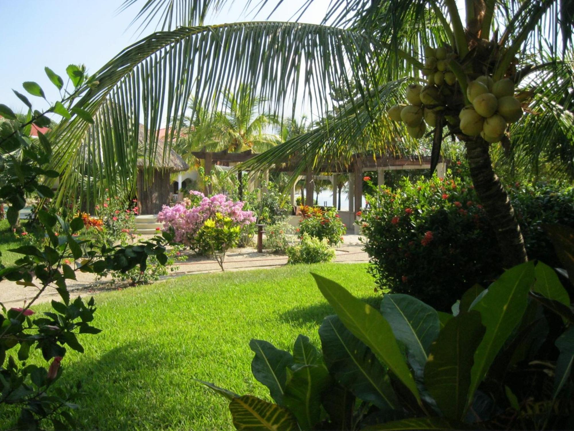 Los Porticos Placencia Oda fotoğraf